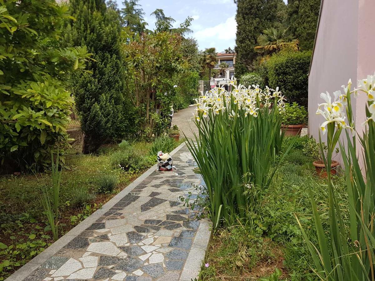 Apartments Ella Rovinj Zewnętrze zdjęcie