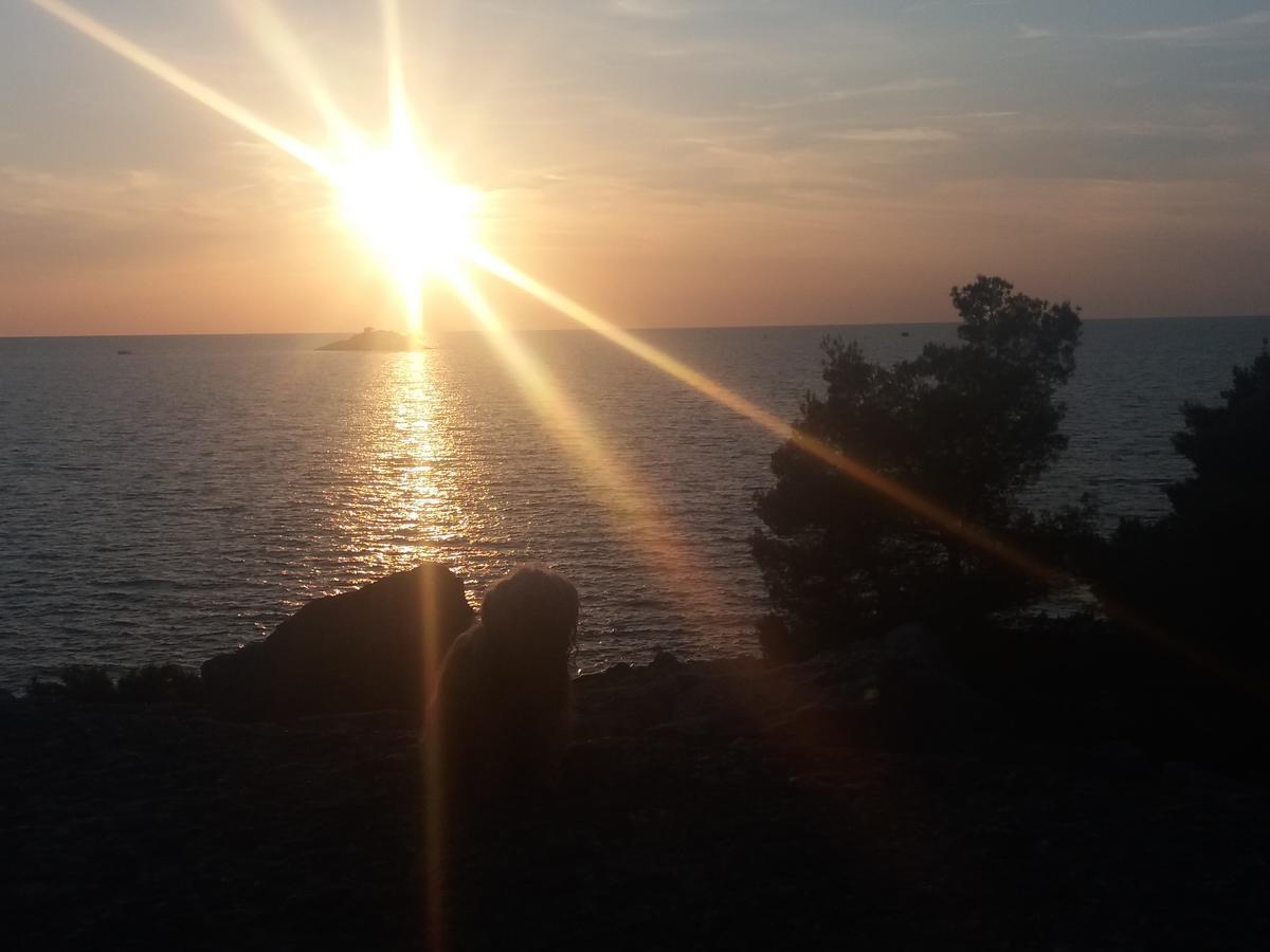 Apartments Ella Rovinj Zewnętrze zdjęcie