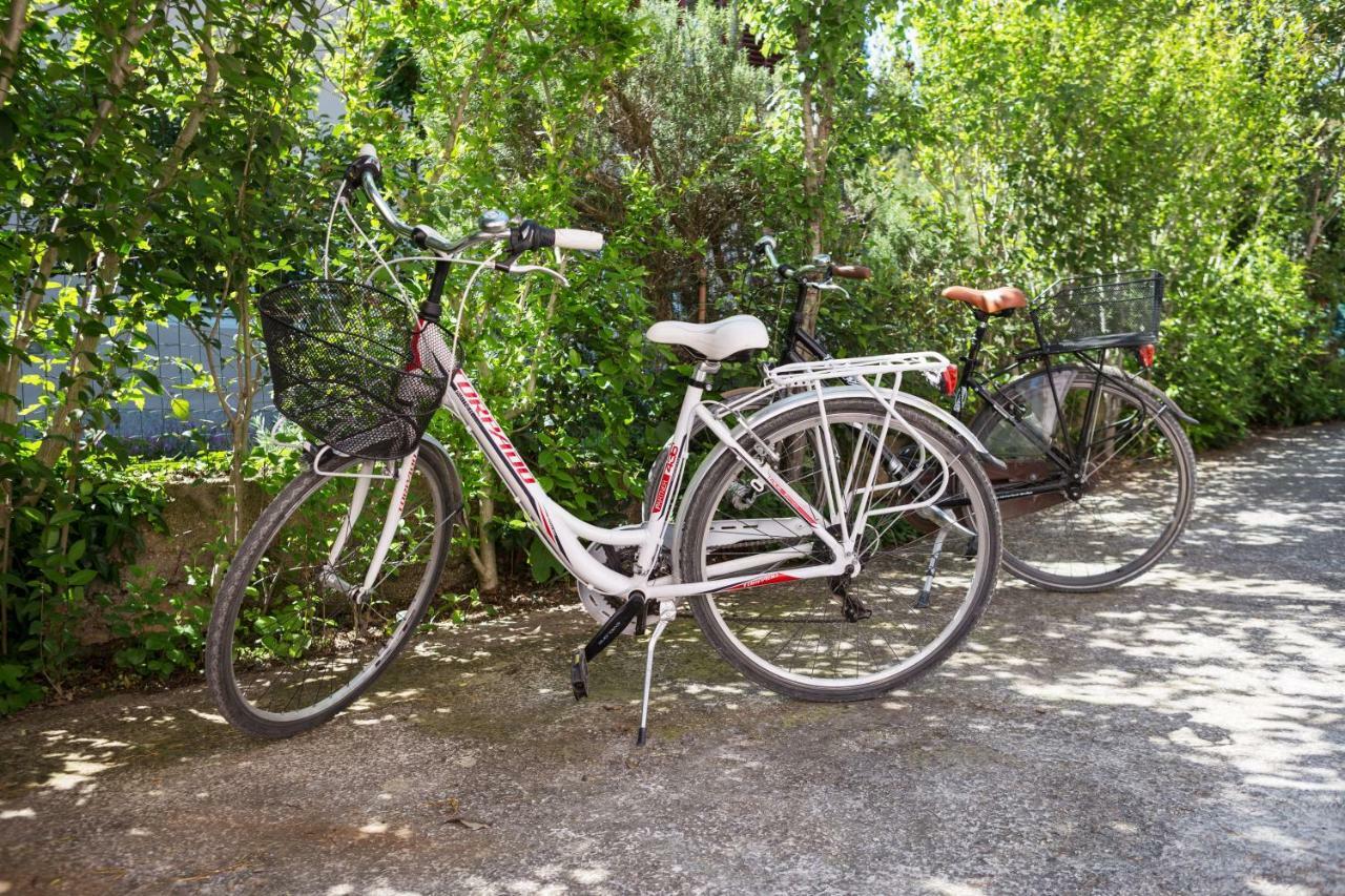 Apartments Ella Rovinj Zewnętrze zdjęcie